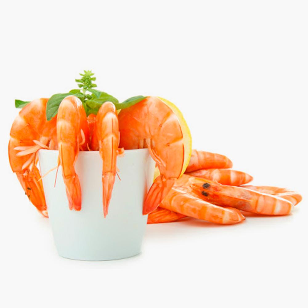 langostino-01