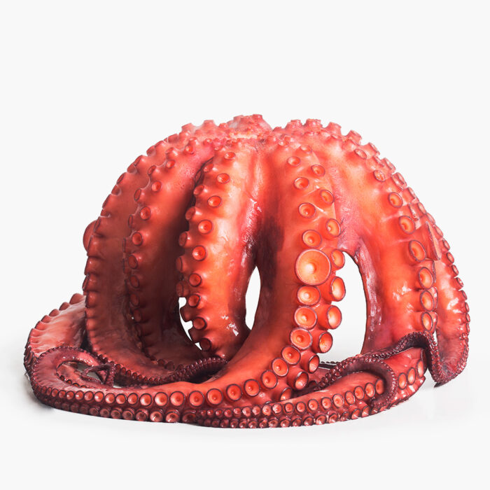 Pulpo Entero congelado (1.7kg) - Imagen 2