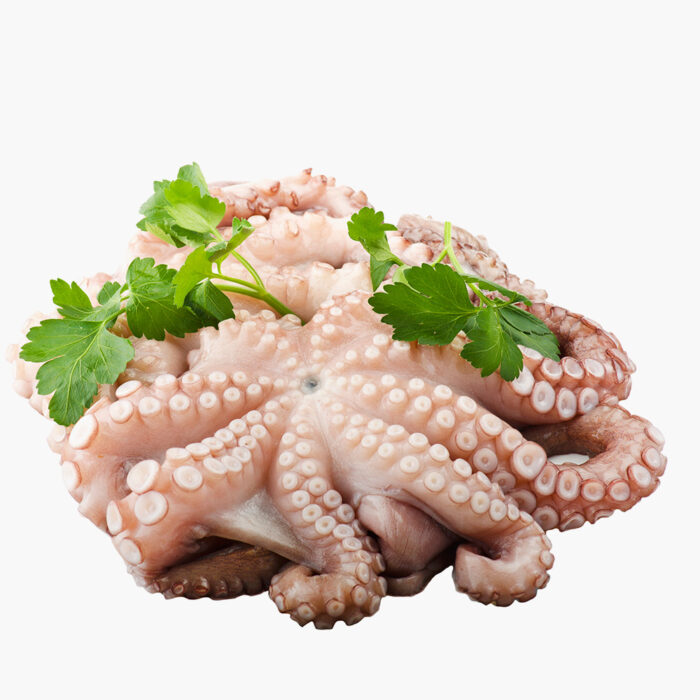 Pulpo Entero congelado (1.7kg)